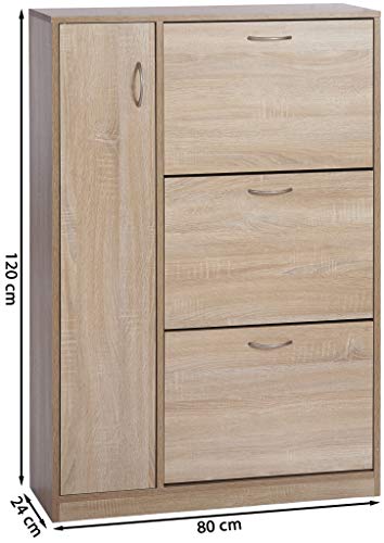 ts-ideen - Zapatero de madera de roble con 3 compartimentos y 1 puerta (120 x 80 cm), color marrón