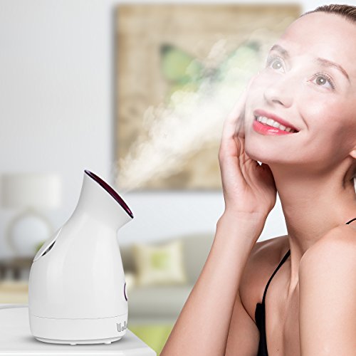 Vaporizador Facial Sauna Spa Wolady Susana Facial Vapor Spa Vaporizador Facial Vapor Térmico Nano Spray Nano Ionic Humidifier Facial Susana Limpieza Profunda Poro Espinillas Vaporizer Facial Steamer