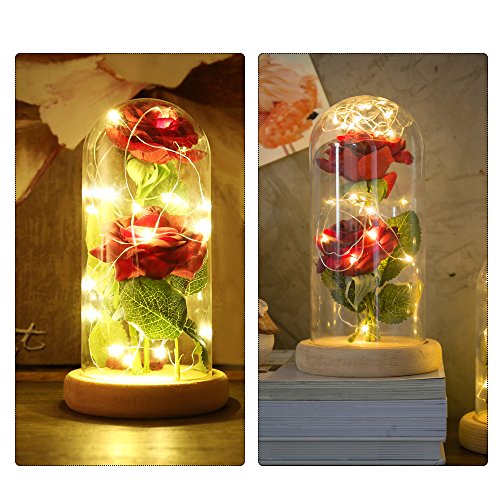 Vingtank 2 PCS seda artificial rosa con 20-LED luz de tira en una pantalla de vidrio blanco cálido Gran regalo para la esposa, novia, cumpleaños, día de la madre, aniversario de bodas, día de San Vale