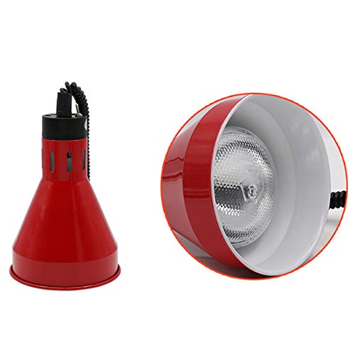 Wensa Lámpara Calor Comida, Calor lámpara del calientaplatos luz, Ajustable Sola Cabeza Que cuelga lámpara, Bulbo de 250W y 17,5 cm Pantalla, para Pizza Comercial de la lámpara de calefacción,D