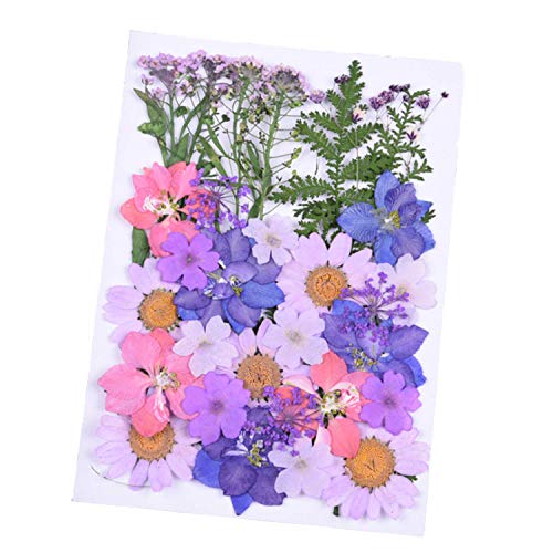 WohlstandPedazo de flores de hojas secas prensadas para tarjetas de álbum de recortes Paquete de fabricación de flores secas prensadas reales Babysbreath para manualidades de Scrapbooking de bricolaje