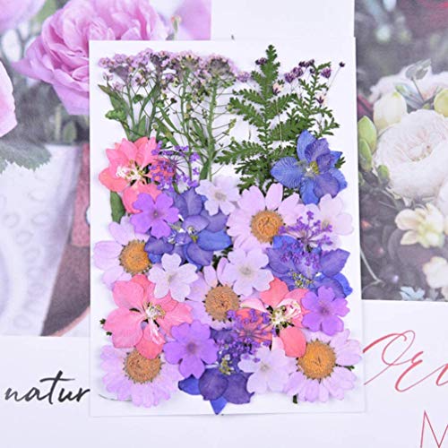 WohlstandPedazo de flores de hojas secas prensadas para tarjetas de álbum de recortes Paquete de fabricación de flores secas prensadas reales Babysbreath para manualidades de Scrapbooking de bricolaje