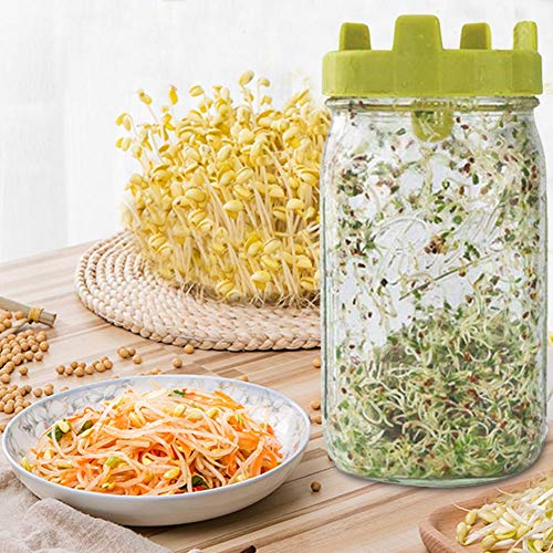 Wood.L Pantalla 4PCS Grano De Mason Jar Brote Tapas, Brote Tapa Tarro del Kit, Sprout Lid Semillas Germinan Colador para Crecer Brotes De Soja, Alfalfa, Brotes De Ensalada Y Más