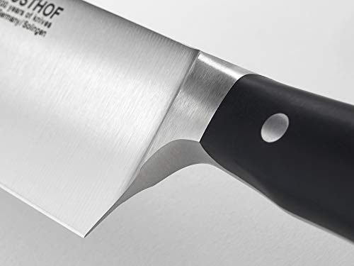 Wüsthof Juegos de Cuchillos de Cocina, Acero Inoxidable, Centimeters