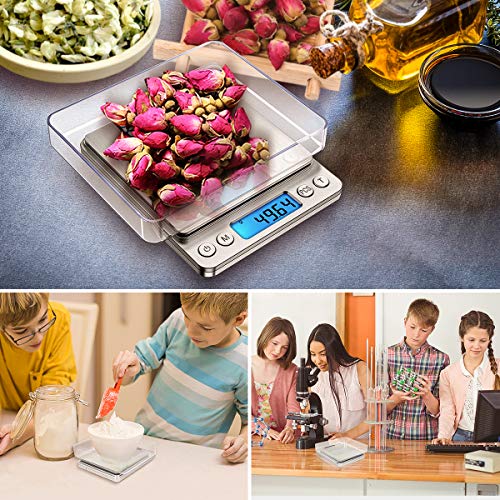 XINYU Báscula Digitales de Precisión,Balanzas de Portátiles, Plato Removibles,con Pantalla LCD y 6 Unidades,Plataforma de Acero Inoxidable, Función de Tara, para Cocinar,Joyería,Café - 3kg x 0.1g