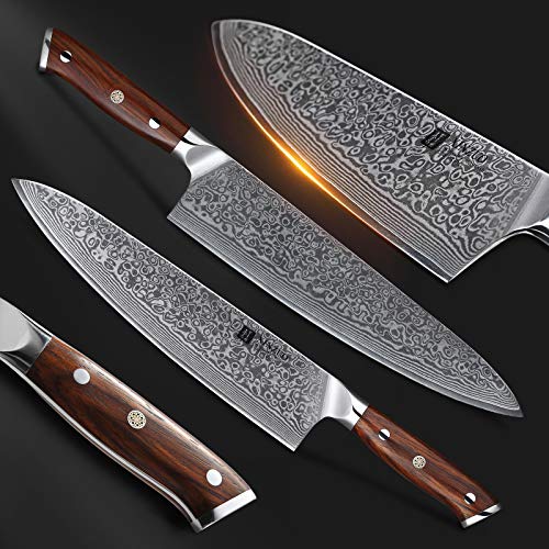 XINZUO 25.5cm Cuchillo Chef Alto Carbono Damasco Acero Profesional Japon Cuchillo Cocinero Gyuto VG10 Acero con Ergonómico Rosewood Mango - Yu Serie