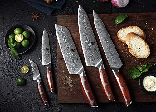 XINZUO Set Cuchillo Cocina con Bloque de Cuchillos 7 Piezas,Profesional de Acero de Damasco Cuchillo Chef Santoku Pan Universal Fruta,Tijeras de Cocina Multifuncionales,con Mango de Rosewood-Yi Serie