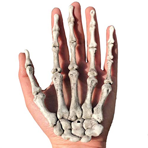 XONOR Halloween Skeleton Hands - Manos realistas de Esqueleto de plástico Cortadas a tamaño Real para Decoraciones de Accesorios de Halloween, 2 Piezas (Derecha e Izquierda)