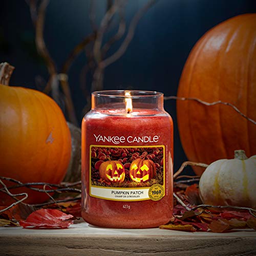 Yankee Candle - Vela perfumada con forma de calabaza, aroma a vela grande | hasta 150 horas de combustión