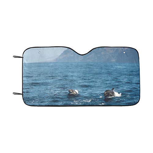 ZANSENG Parabrisas Sun Shade, Dolphins Swim Ocean Canary Islands Tenerife Plegable Car Window Shade Universal para automóviles SUV Truck, Mantenga su vehículo fresco-55 X 30 Pulgadas