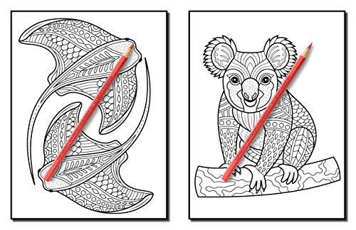 100 Animals: An Adult Coloring Book with Lions, Elephants, Owls, Horses, Dogs, Cats, and Many More!