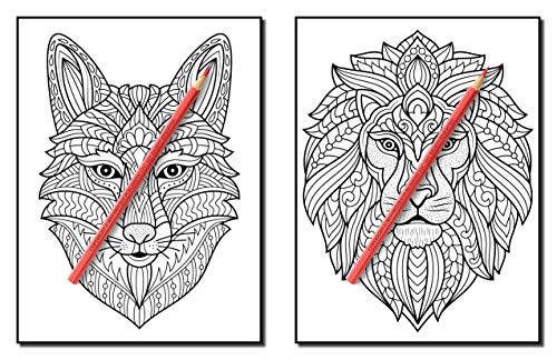 100 Animals: An Adult Coloring Book with Lions, Elephants, Owls, Horses, Dogs, Cats, and Many More!