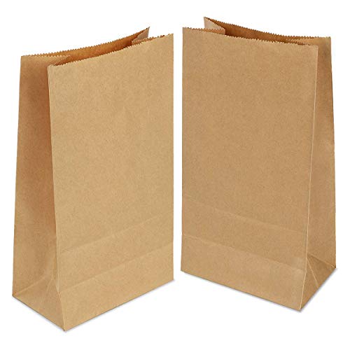 100 piezas Bolsas de Papel Regalo 24x14x8 cm - Bolsa Biodegradable Regalos Comunión para Invitados o para Guardar Comida, Semillas Flores, Dulces, Chuches, Pan - Bolsitas Kraft Marrón