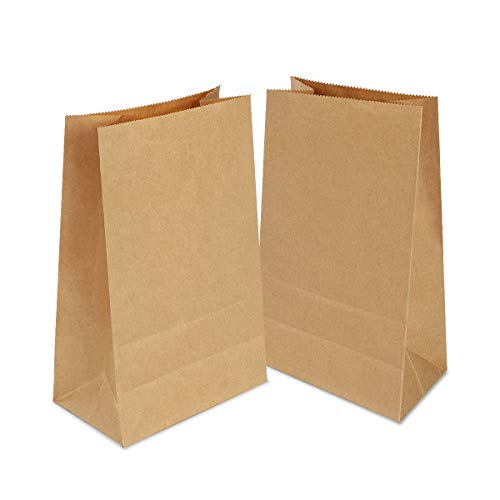 100 Piezas Bolsas Papel Kraft 21 x 12 x 7 cm, Bolsas Papel Regalo,Bolsas Ecologicas para Fruta, Bolsas para Envolver Regalos para Chuches Semillas Etiquetas Palomitas Dulces Bocadillos