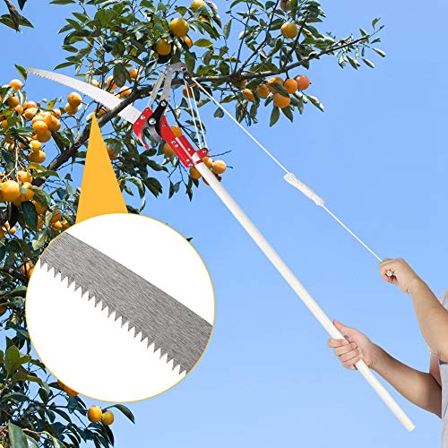 2 Ruedas Sharp Garden Poda de Corte Cizalla Recolector de Frutas Máquina segador Pole Saw Tree Trimmer Clipper Herramienta de Recorte sin Poste