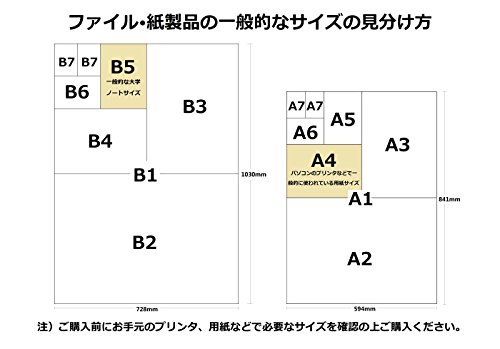 20 piezas de Kokuyo S y T tarjetero seguridad positiva Kawakami A4 30 agujero de longitud (importación de Japón)