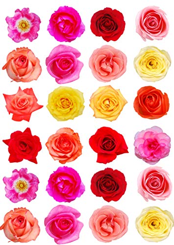 24 rosas de colores mixtos para decoración de tartas de papel de oblea comestible