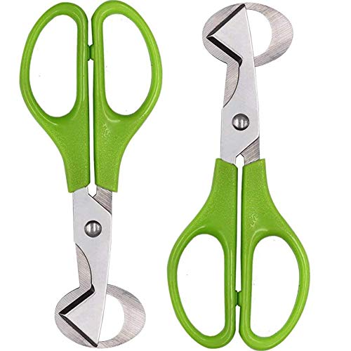 2PCS Tijera Abrir Huevos codorniz, Acero Inoxidable, Utensilios de cocina para el hogar acero inoxidable codorniz huevos tijeras huevo cortador Verde 14 x 6.5 cm