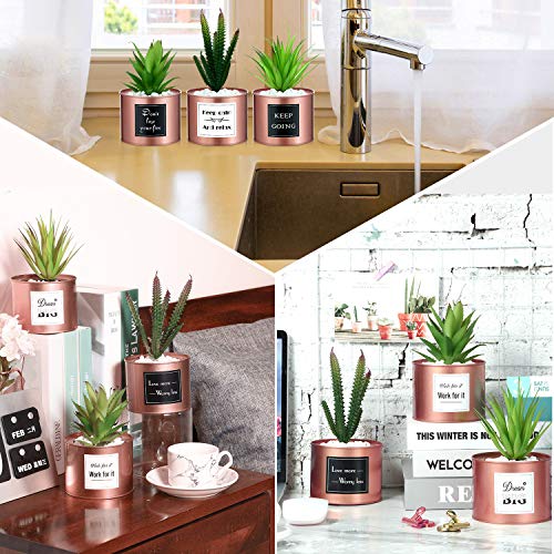 3 Macetas Suculentas Decoración de Oficina para Escritorio de Mujer, Decoración Boho para Cocina Oficina Estantería Dormitorio Colegio Planta Artificial Cactus Suculentas (Oro Rosa)