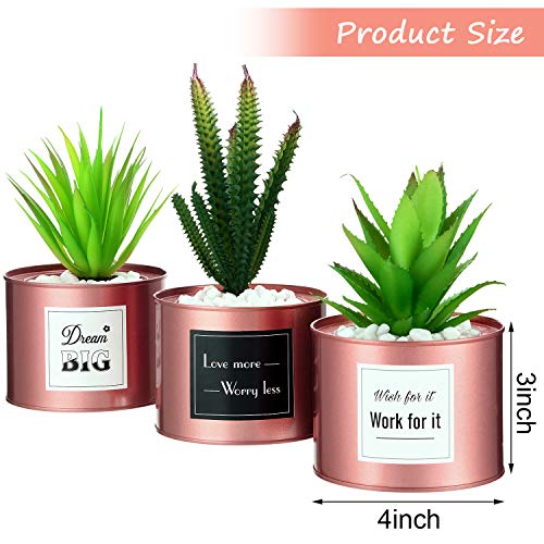 3 Macetas Suculentas Decoración de Oficina para Escritorio de Mujer, Decoración Boho para Cocina Oficina Estantería Dormitorio Colegio Planta Artificial Cactus Suculentas (Oro Rosa)