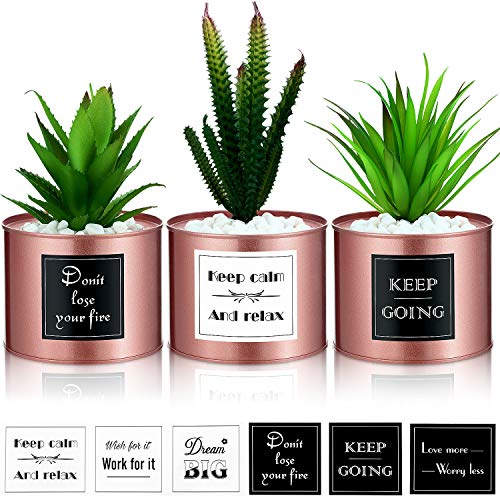 3 Macetas Suculentas Decoración de Oficina para Escritorio de Mujer, Decoración Boho para Cocina Oficina Estantería Dormitorio Colegio Planta Artificial Cactus Suculentas (Oro Rosa)