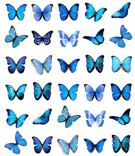 30 obleas comestibles para cupcakes, diseño de mariposas, color azul