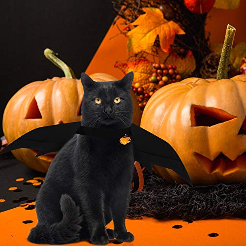 4 piezas de disfraz de gato de Halloween para disfraz de gato con campanas de calabaza para disfraz de mascota de Halloween