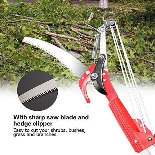 4 Ruedas Sharp Garden Poda Cabeza Cizalla Recogedor de Frutas Máquina Segador Pole Saw Tree Trimmer Clipper Herramienta de Corte Sin Polo