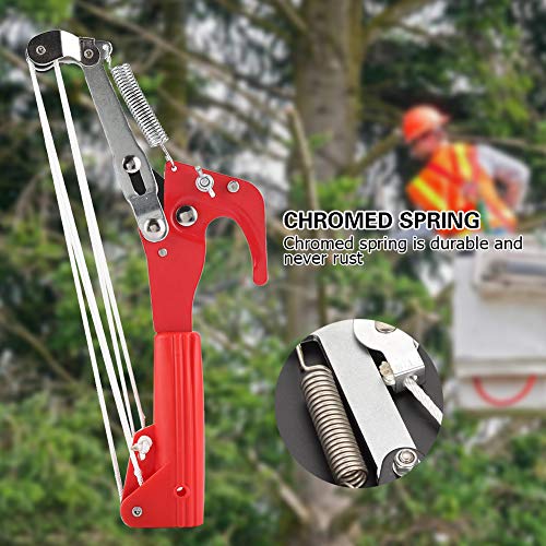 4 Ruedas Sharp Garden Poda Cabeza Cizalla Recogedor de Frutas Máquina Segador Pole Saw Tree Trimmer Clipper Herramienta de Corte Sin Polo