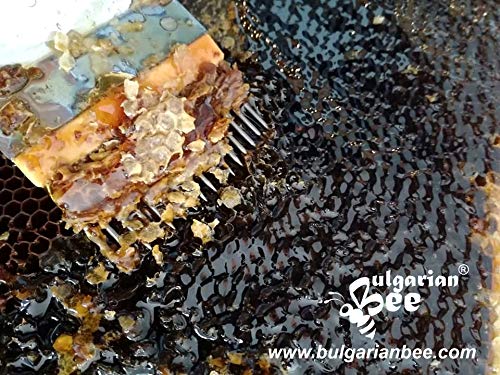 900 g Gotas de Miel, Miellada Negro Miel, Naturaleza de Montaña Virgen bosque, Certificado sin antibióticos, sin azúcar, sin calentar, sin pasteurizar, crudo, miel real BulgarianBee®