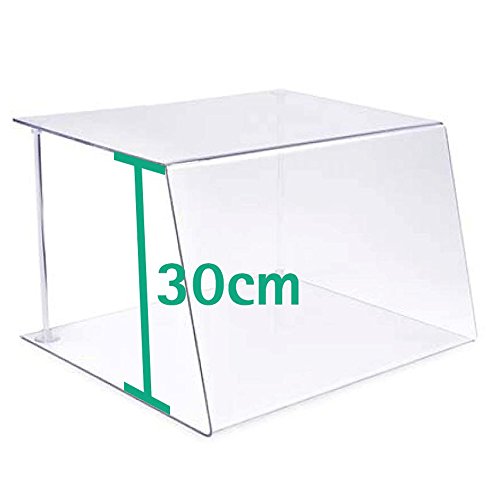 A + H plásticos Holzhäuser TOS – Tipo 1 Longitud 60 cm – Para Gastronomía de petg – Mostrador modular y pasteles de vitrina (Cristal Transparente), Stärke 6mm