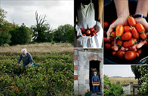 A Kitchen In France [Idioma Inglés]: A Year of Cooking in My Farmhouse: A Cookbook