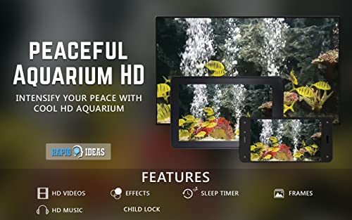 acuario pacífico gratis HD: decora tu habitación con un hermoso acuario de vida marina en tu televisor HDR 4K, TV 8K y dispositivos de fuego como fondo de pantalla, decoración para las vacaciones de N