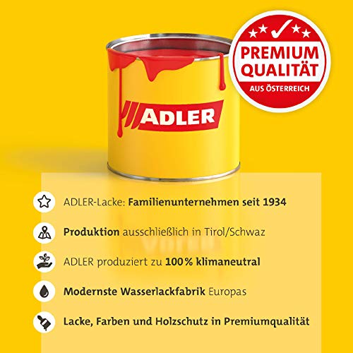 ADLER Barniz de color 5 en 1 de para interiores y exteriores - Mate - 125 ml - Barniz y laca base resistente a las inclemencias del tiempo para madera, metal y plástico, RAL6005 Verde musgo