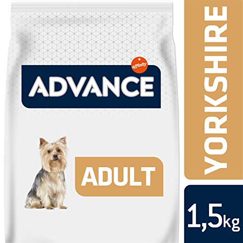 Advance Pienso para Perro Yorkshire Terrier con Pollo - 1500 gr