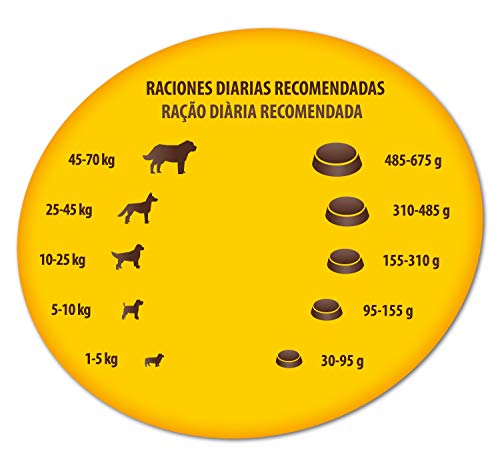 affinity Bon Menu - Receta Tradicional - Comida para Perros - 10 Kg