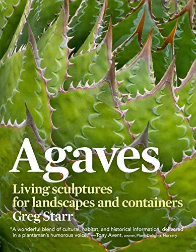 Agaves: Living Sculptures for Landscapes and Containers