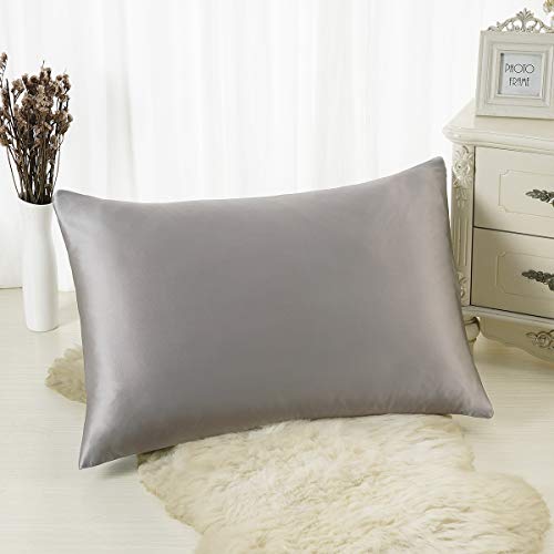 ALASKA BEAR - Funda de Almohada de Seda Natural, hipoalergénico, 19 Momme, 600 Hilos 100% de Seda, tamaño Queen con Cremallera Oculta, 50x75 cm,1 Unidad, Gris-Plata