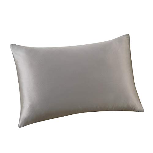 ALASKA BEAR - Funda de Almohada de Seda Natural, hipoalergénico, 19 Momme, 600 Hilos 100% de Seda, tamaño Queen con Cremallera Oculta, 50x75 cm,1 Unidad, Gris-Plata