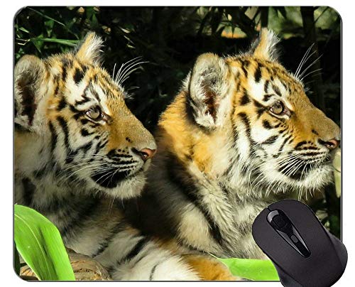 Alfombrilla Antideslizante para Juegos Tiger King, Alfombrilla de Goma de Goma Animal
