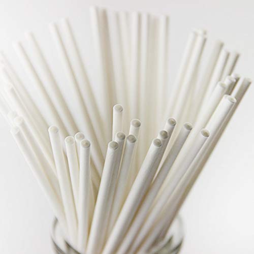 Alimagic Palo de Papel, Cake Pops, 20 unids Palitos Palos de Piruleta de Paper Lollipop Sticks Cake Pop Sticks para la Fiesta de cumpleaños DIY Craft Project (20 Rama-3.5 * 100mm)