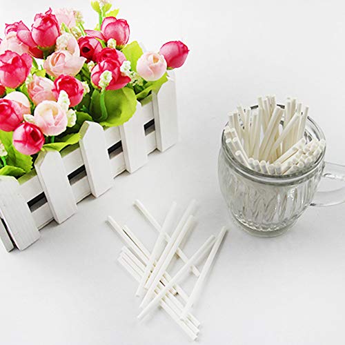 Alimagic Palo de Papel, Cake Pops, 20 unids Palitos Palos de Piruleta de Paper Lollipop Sticks Cake Pop Sticks para la Fiesta de cumpleaños DIY Craft Project (20 Rama-3.5 * 100mm)