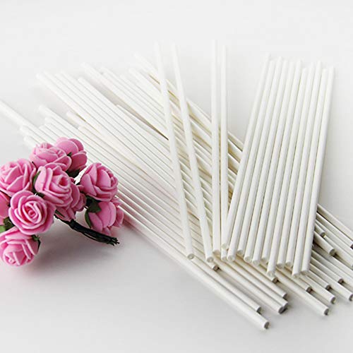 Alimagic Palo de Papel, Cake Pops, 20 unids Palitos Palos de Piruleta de Paper Lollipop Sticks Cake Pop Sticks para la Fiesta de cumpleaños DIY Craft Project (20 Rama-3.5 * 100mm)