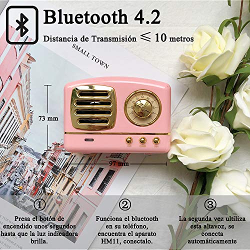 Altavoz portatil Bluetooth Vintage Mini Efecto del Sonido HiFi Envolvente estéreo 3D Bluetooth 4.1+EDR batería de Litio (Rosa)