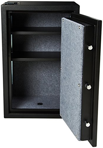 AmazonBasics - Caja fuerte ignífuga, 60 l