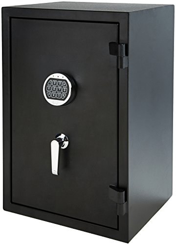 AmazonBasics - Caja fuerte ignífuga, 60 l