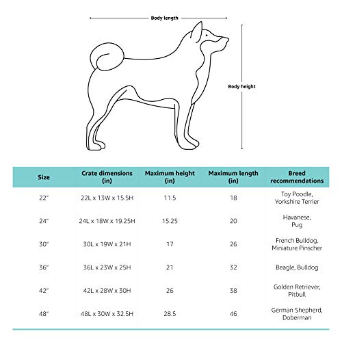 AmazonBasics - Jaula para perros plegable, de metal, una puerta, 76 cm