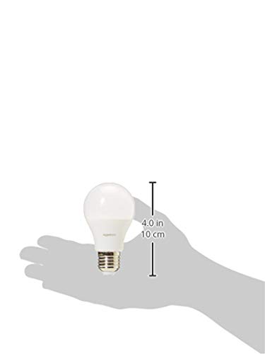 AmazonBasics Professional - Bombilla de tipo Edison LED, casquillo E27, equivalente a 40 W, blanco cálido - juego de 6