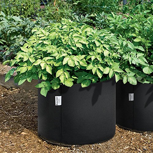 Amorar 6 Pack 1/2/3 galón Planta crecer bolsillos, verdicken Fieltro belüftungs plástico ollas con asas, extremadamente resistente habitación de los Niños bolsillos para plantas verduras Negro