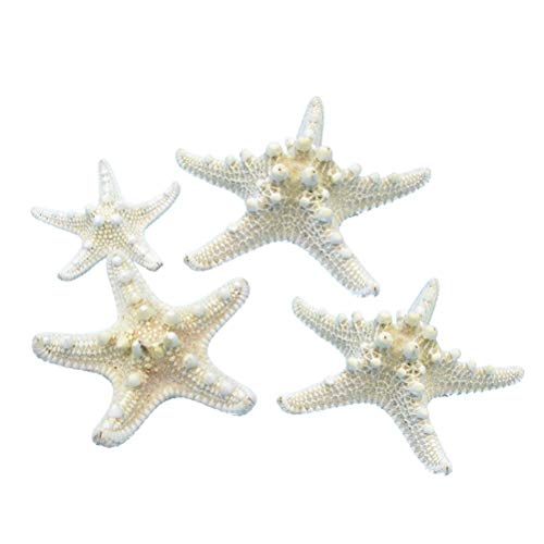 Amosfun Estrellas de mar Naturales Concha decoración de la Pared de la Concha artesanía decoración del hogar 4pcs(5-8 cm)